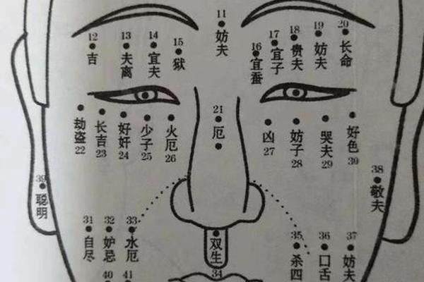 麻衣神相掌中痣,耳朵有痣的命运 图解