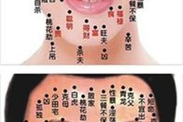 男人下巴痣相最准图(下巴痣的位置与命运图)