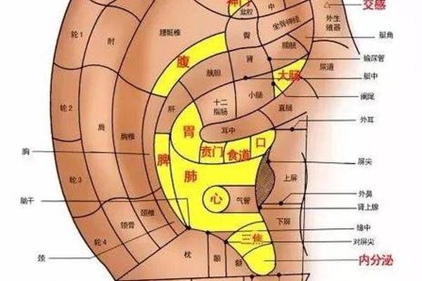 耳朵相痣图解—耳朵周围的痣图解