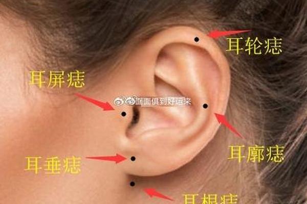 好的痣相被点—耳朵中间有痣好不好 好的痣相被点—耳朵中间有痣好不好