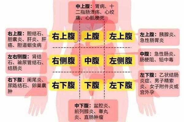 肚皮痣相(痣相的种类及含义)