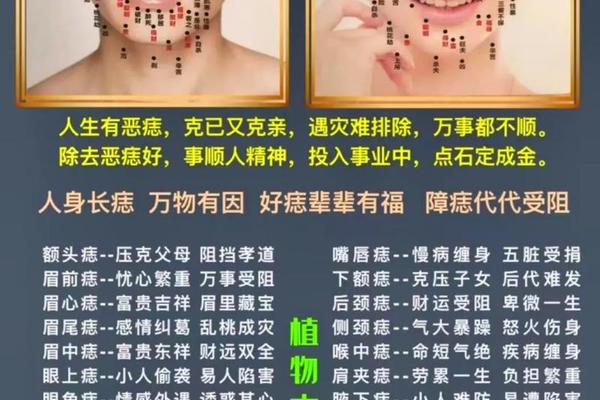 痣相福报、痣相10大凶痣
