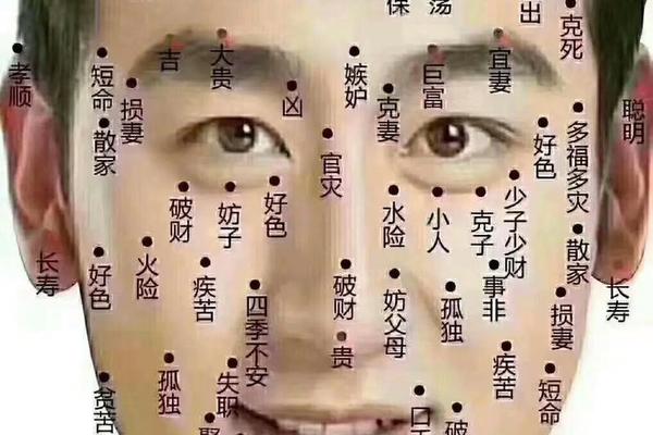 男女点痣相_男女面相痣图及解说