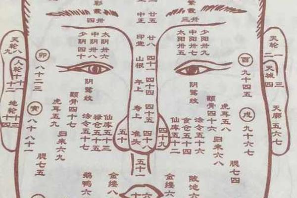 麻衣神相痣相有痣-麻衣相术面痣图解