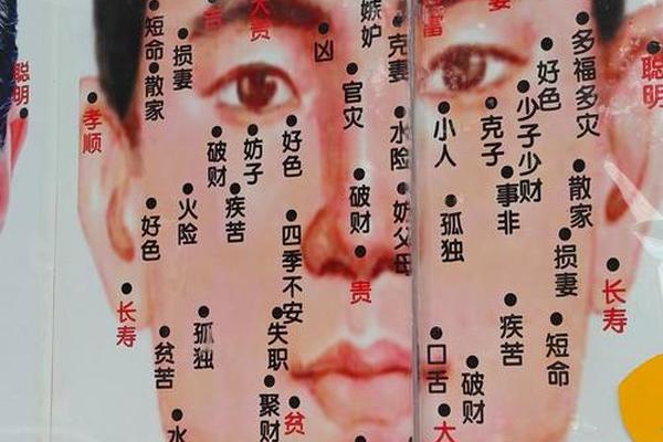 痣相男面部大全图解图片、男面部痣相解析图