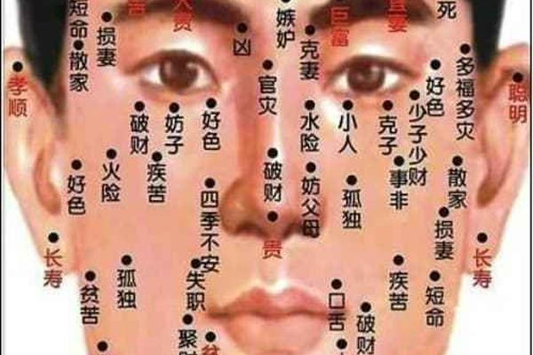 面相点痣图相,面相图解各个部位含义