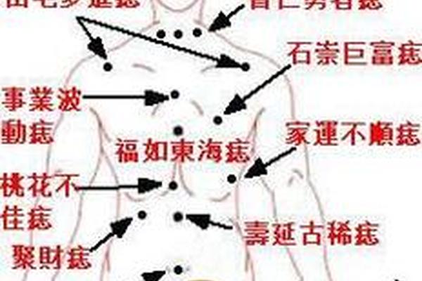 男身体痣相算命图解,男人全身痣相图解命运