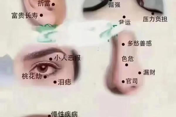 能享儿女福的痣相 算命享子女福是啥意思
