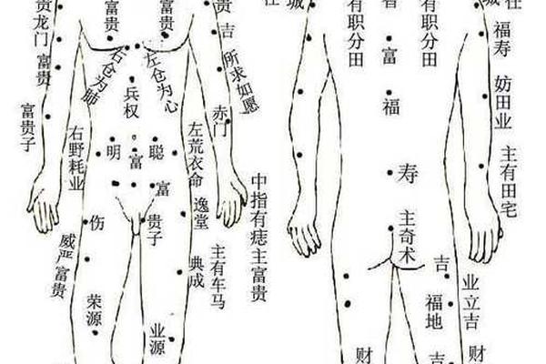 痣相全身完整图,男全身痣相图解高清图