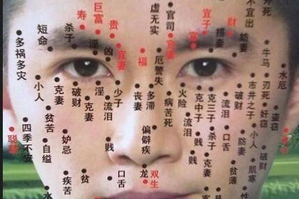 女人全身痣相,身上痣很多说明什么