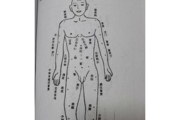 痣相大全男全身 男士全身痣相图解清晰版