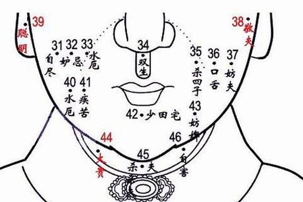 女性下巴痣的位置吉相—女人下巴长痣的位置图解