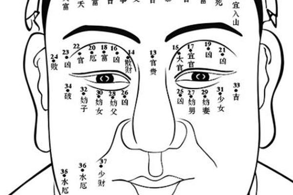痣相男人身上痣相图解_男生面部痣的图片