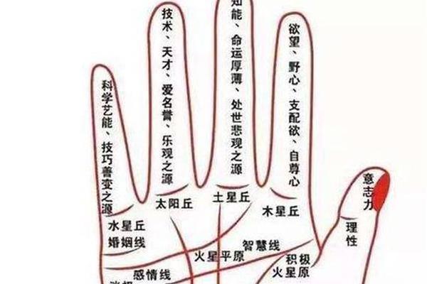 男生左手无名指痣相 男人左手无名指有痣图解