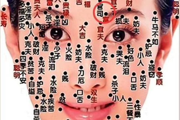 左眉有痣的相法图解女_女子左眉有痣图解解释一下