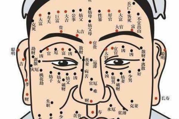 男人鼻子痣相最准图(鼻头有痣的男人好不好)