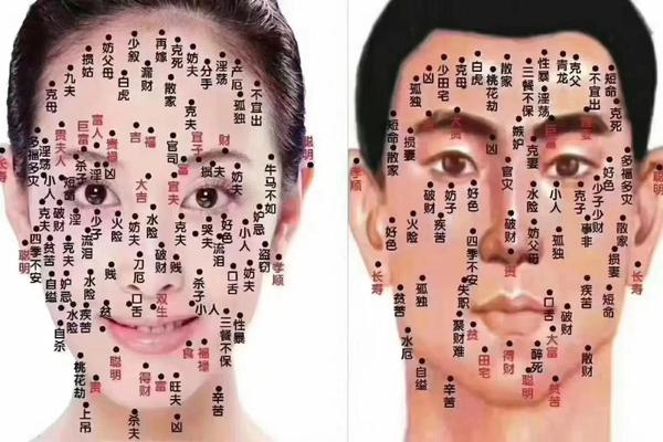 易理痣相卦—易卦详解