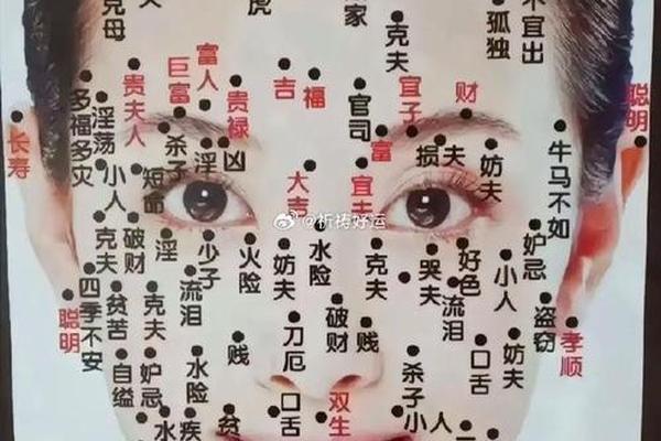 痣相妒忌和官司痣、痣相大全图解