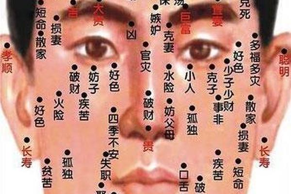 男生面相看痣相准吗图解—男面相痣的图片大全高清
