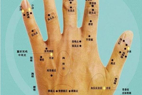 痣相真能代表命运吗-手掌痣相图解