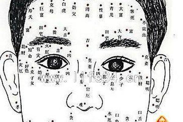 痣相男耳-耳朵痣相图解 男人