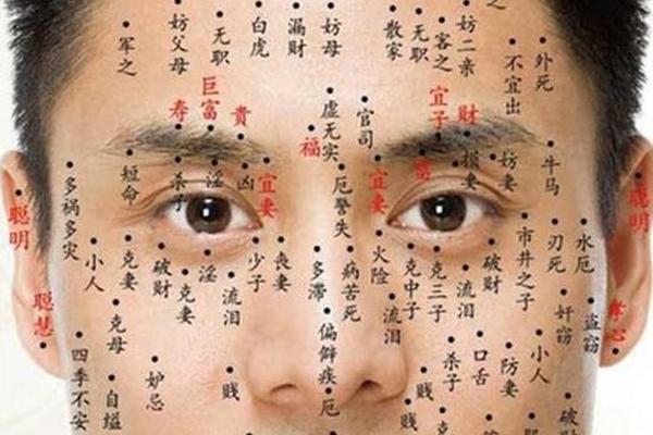 男人看面相痣相算命图解,男人面相痣大全图解 高清晰