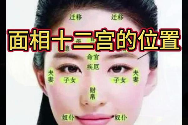 麻衣神相胸部有痣的女人-麻衣神相女人面痣图解 麻衣神相胸部有痣的女人-麻衣神相女人面痣图解