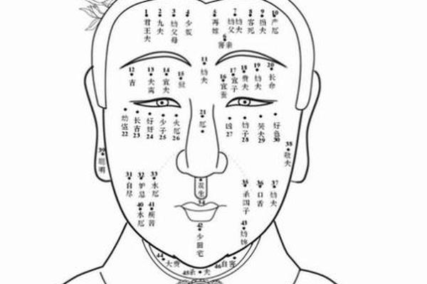 痣相寓意烂桃花-桃花树的寓意和象征
