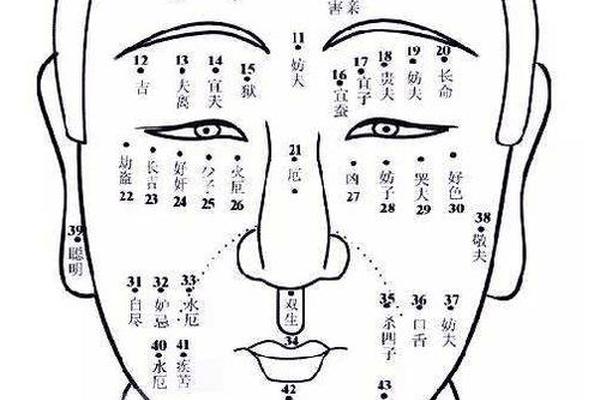 麻衣神相眉头有痣—麻衣神相 痣
