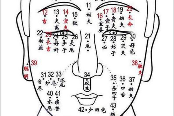 男人身上部痣相最准图(男人全身长痣高清图解) 男人身上部痣相最准图(男人全身长痣高清图解)
