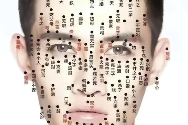 脸侧面痣相的含义是什么—脸部各个部位痣的含义 脸侧面痣相的含义是什么—脸部各个部位痣的含义