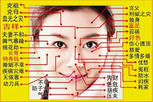 相木讲女人面痣、周易女人面相痣图解 相木讲女人面痣、周易女人面相痣图解