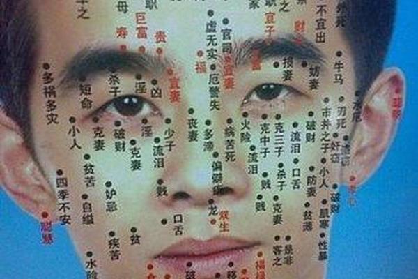 男相眉毛一边有痣(左眼眉毛有痣的男人)