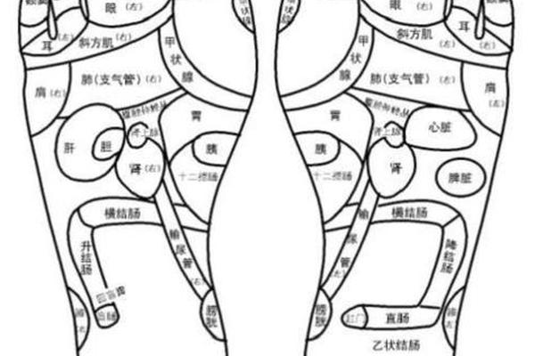 男脚上痣相算命图解_脚底长痣图解 男人