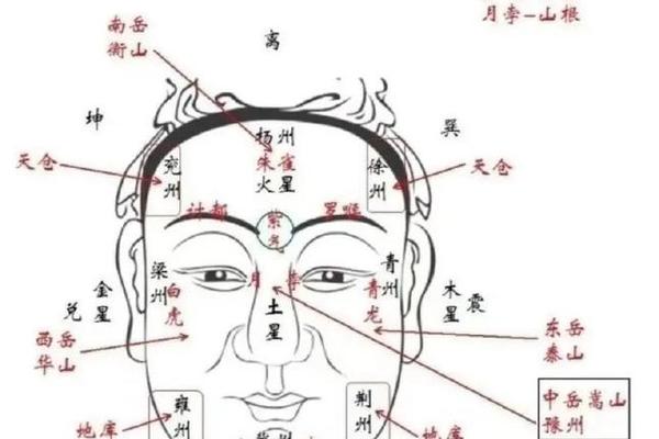 天相天庭位有痣 天庭有痣好不好