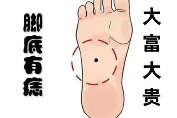 脚痣相算命理 看相算命大全有图像痣 脚痣相算命理 看相算命大全有图像痣
