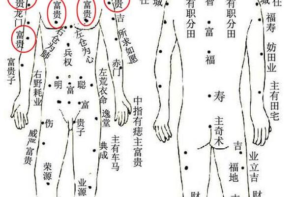 痣相的图解大全 男身上 男士痣相学大全图解