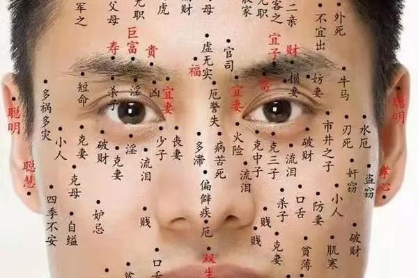 男人面部痣相详细图、男面部痣相图解 最全