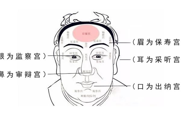 麻衣神相额头发际线有痣(麻衣神相额头图解)