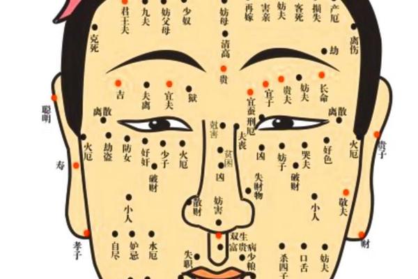 鼻相长痣图解大全-鼻子上的痣是什么痣