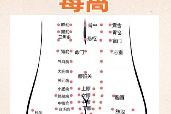 男性屁股痣相;痣相女全身图解