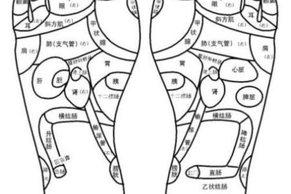 头长痣相,脚底板长痣的痣相图解
