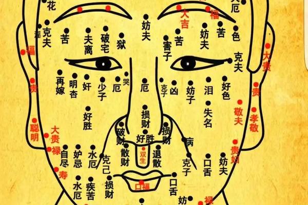 痣相诀pdf下载(面相全图解析软件) 痣相诀pdf下载(面相全图解析软件)