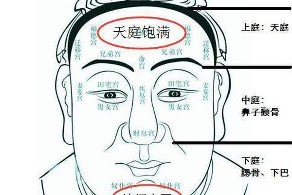 相天庭痣—天庭有痣的男人面相
