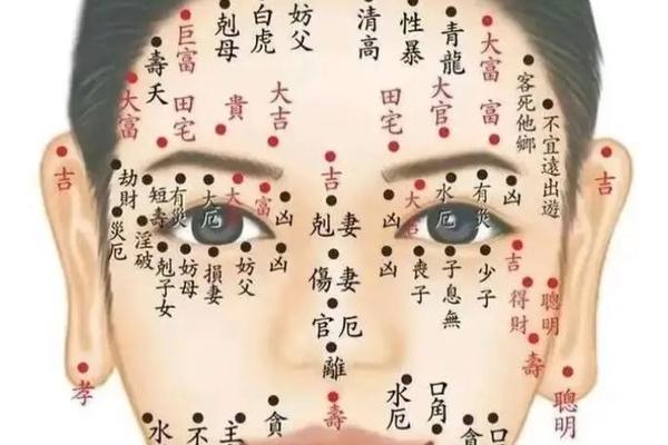 麻衣神相痣背后痣-麻衣相术面痣图解