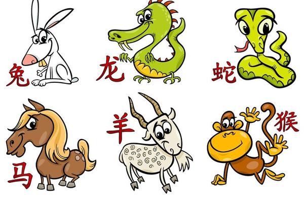 12生肖的痣相;中国痣相大全