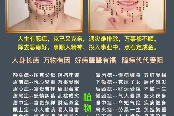 女人身上痣相最准图 痣相学大全图解