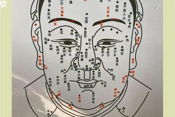 痣相扫描;测痣相app
