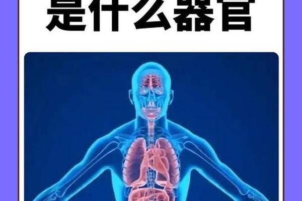 胸痣左仓为心痣相解 左胸下方有痣图解