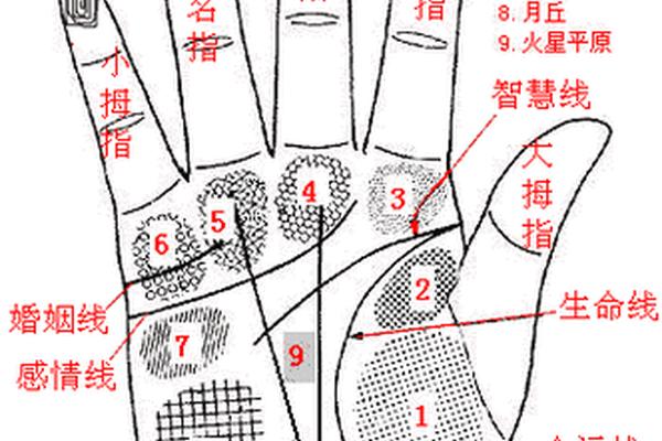 右手中指侧面痣相、男人右手手掌痣相图解 右手中指侧面痣相、男人右手手掌痣相图解